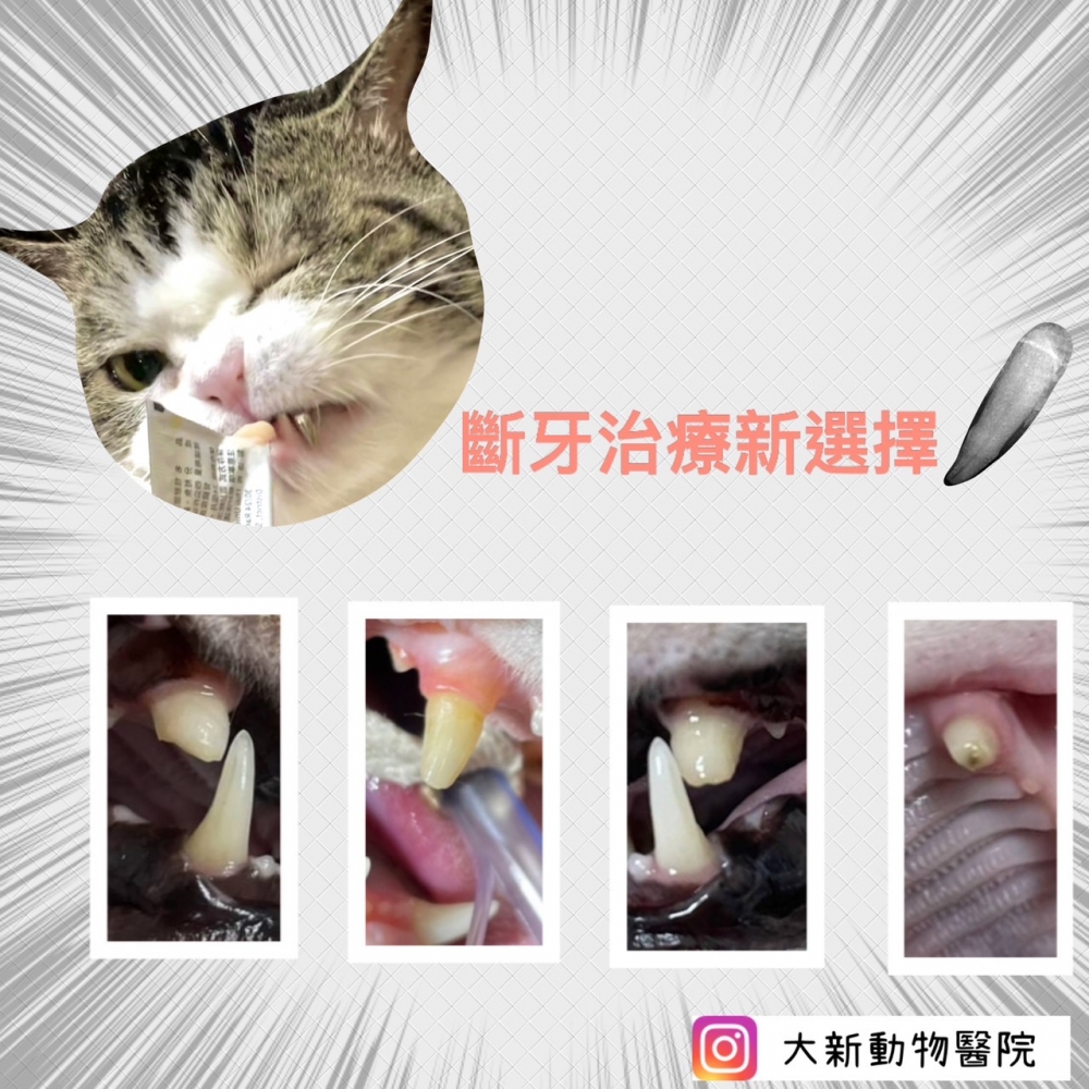 來電預約諮詢
02 22920133